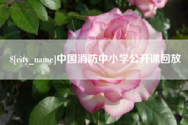 宜城中国消防中小学公开课回放