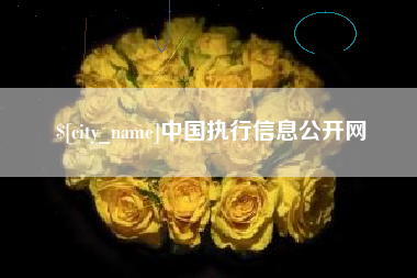 宜城中国执行信息公开网