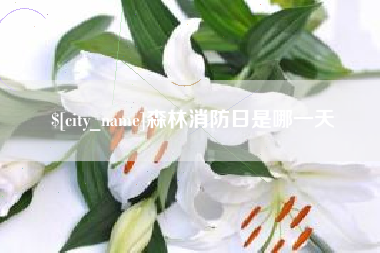 宜城森林消防日是哪一天