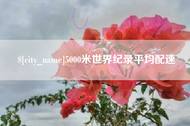 宜城5000米世界纪录平均配速