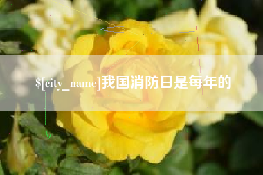 宜城我国消防日是每年的
