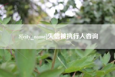 宜城失信被执行人杳询