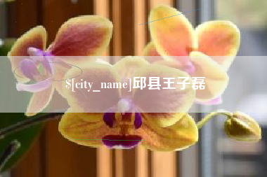 宜城邱县王子磊