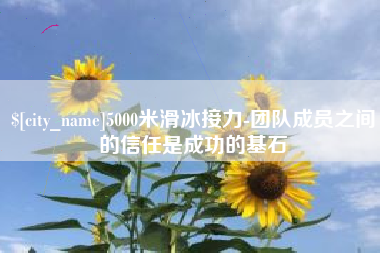 宜城5000米滑冰接力-团队成员之间的信任是成功的基石