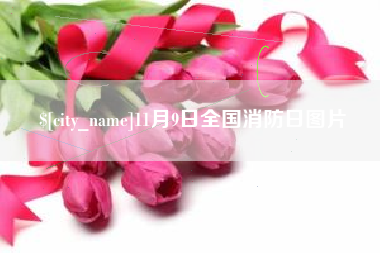 宜城11月9日全国消防日图片