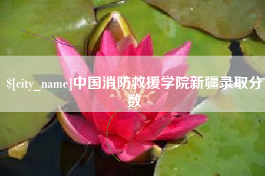 宜城中国消防救援学院新疆录取分数