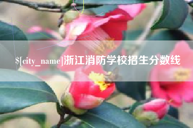 宜城浙江消防学校招生分数线