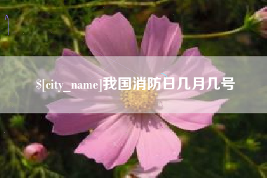 宜城我国消防日几月几号