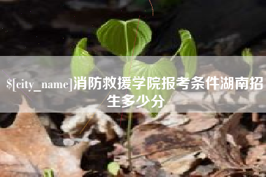 宜城消防救援学院报考条件湖南招生多少分