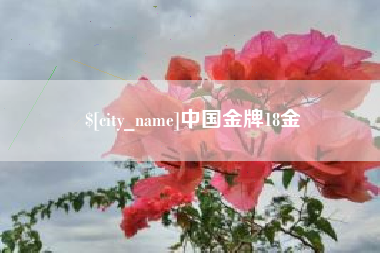 宜城中国金牌18金