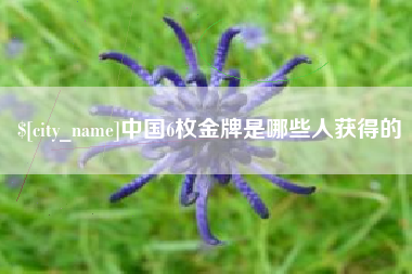 宜城中国6枚金牌是哪些人获得的