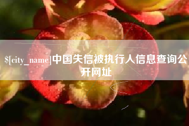 宜城中国失信被执行人信息查询公开网址