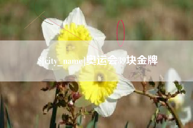 宜城奥运会39块金牌