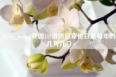 宜城我国119消防日宣传日是每年的几月几日