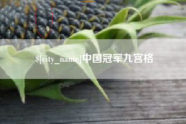 宜城中国冠军九宫格