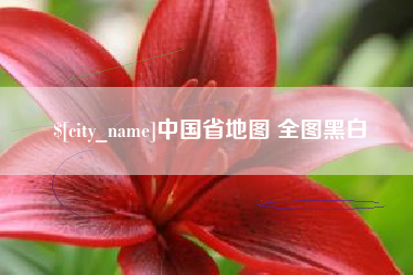 宜城中国省地图 全图黑白