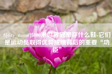 宜城5000米世界冠军穿什么鞋-它们是运动员取得优异成绩背后的重要“功臣”
