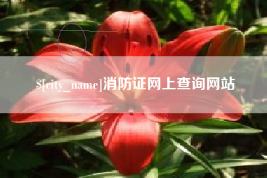 宜城消防证网上查询网站
