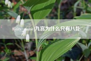 宜城九宫为什么只有八卦