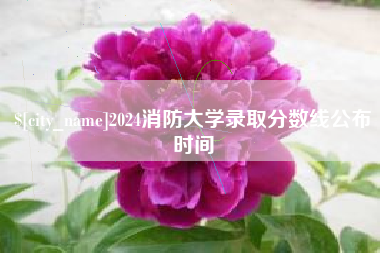 宜城2024消防大学录取分数线公布时间