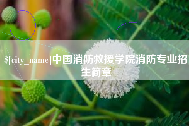 宜城中国消防救援学院消防专业招生简章