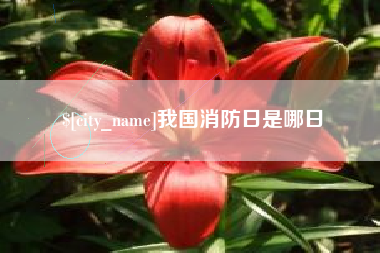 宜城我国消防日是哪日