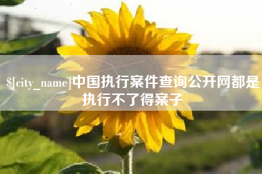 宜城中国执行案件查询公开网都是执行不了得案子