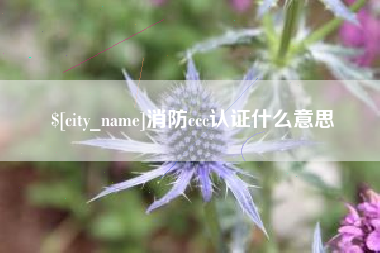 宜城消防ccc认证什么意思