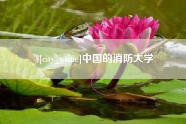 宜城中国的消防大学