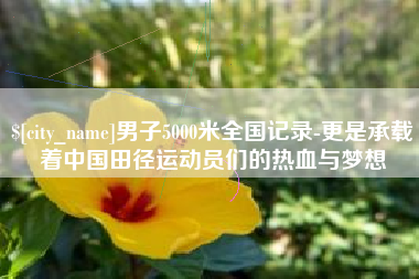 宜城男子5000米全国记录-更是承载着中国田径运动员们的热血与梦想