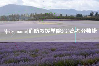 宜城消防救援学院2020高考分数线