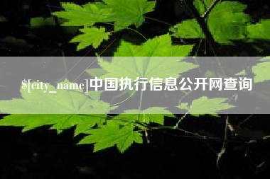 宜城中国执行信息公开网查询