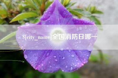 宜城全国消防日哪一
