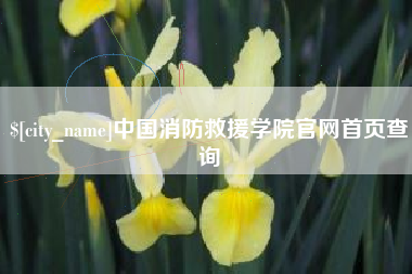 宜城中国消防救援学院官网首页查询