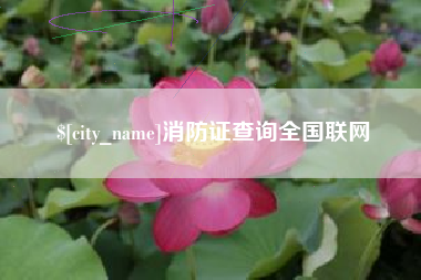 宜城消防证查询全国联网