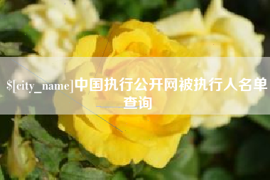 宜城中国执行公开网被执行人名单查询