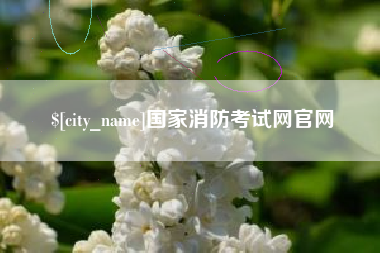 宜城国家消防考试网官网