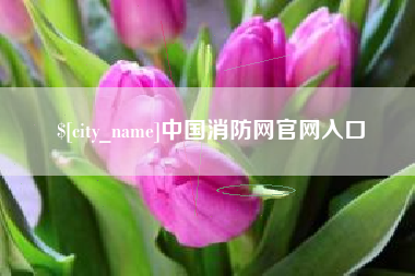 宜城中国消防网官网入口