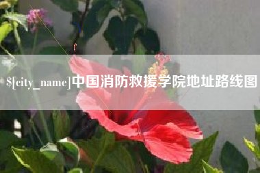 宜城中国消防救援学院地址路线图