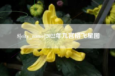 宜城2022年九宫格飞星图