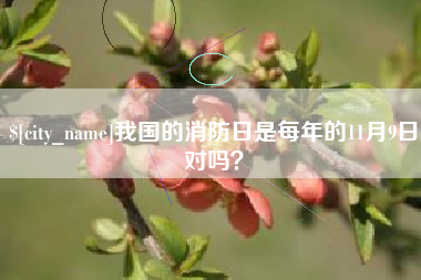 宜城我国的消防日是每年的11月9日对吗？
