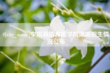 宜城中国消防救援学院湖南招生情况公布