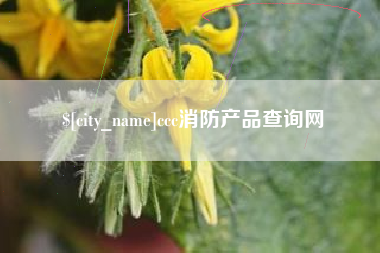 宜城ccc消防产品查询网