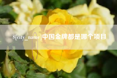 宜城中国金牌都是哪个项目