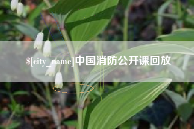 宜城中国消防公开课回放