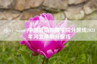 宜城中国消防救援学院分数线2023年河北录取分数线