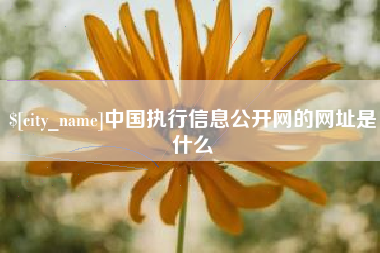宜城中国执行信息公开网的网址是什么