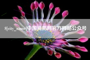 宜城中国消防网官方网站公众号