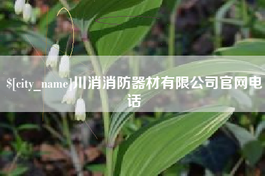 宜城川消消防器材有限公司官网电话