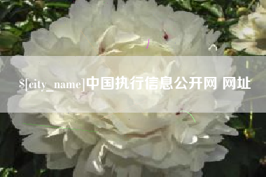 宜城中国执行信息公开网 网址